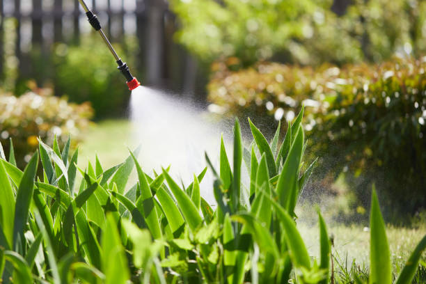 Void Injection for Cockroach Colonies in Fullerton